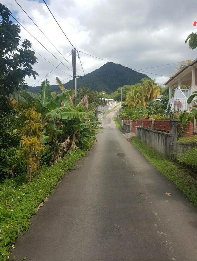 Creole Nest Villa Pointe-Noire Eksteriør bilde